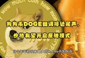 狗狗币链上活跃地址创新高，是否预示新行情？，引发热议-爱游戏