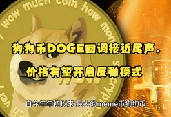 狗狗币链上活跃地址创新高，是否预示新行情？，引发热议-爱游戏