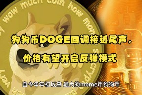 狗狗币链上活跃地址创新高，是否预示新行情？，引发热议-爱游戏