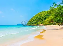 海滨暴熊队对阵嵩山雪豹队，摩托车赛小组赛险胜，内线统治篮板——复盘值得玩味